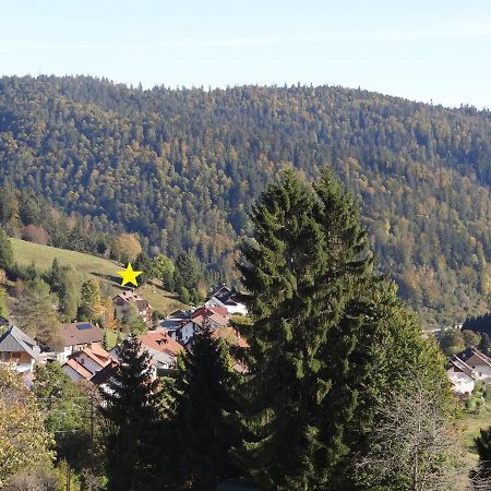 Apartments Amalia - Mit Wlan Und Sky In Traumhafter Lage Todtmoos Exterior foto